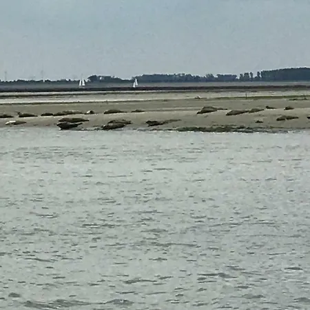 בית נופש Polderhuus Galatheapolder