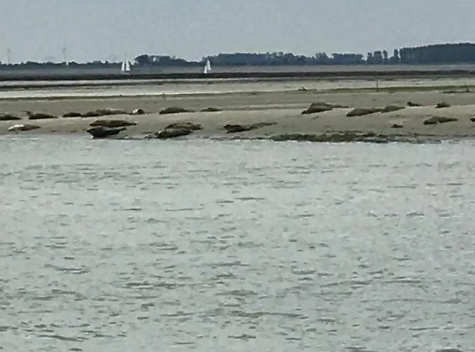 Dom wakacyjny Polderhuus Galatheapolder