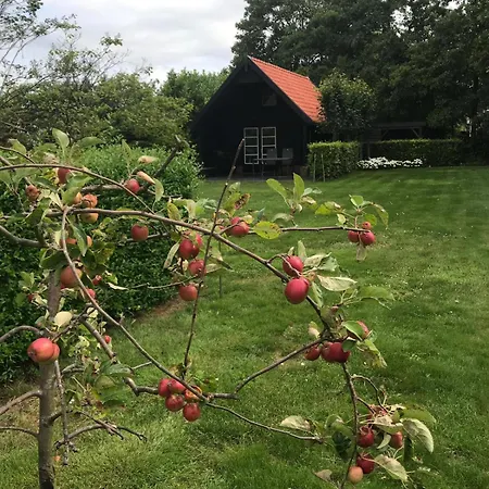 Nyaraló Polderhuus Galatheapolder