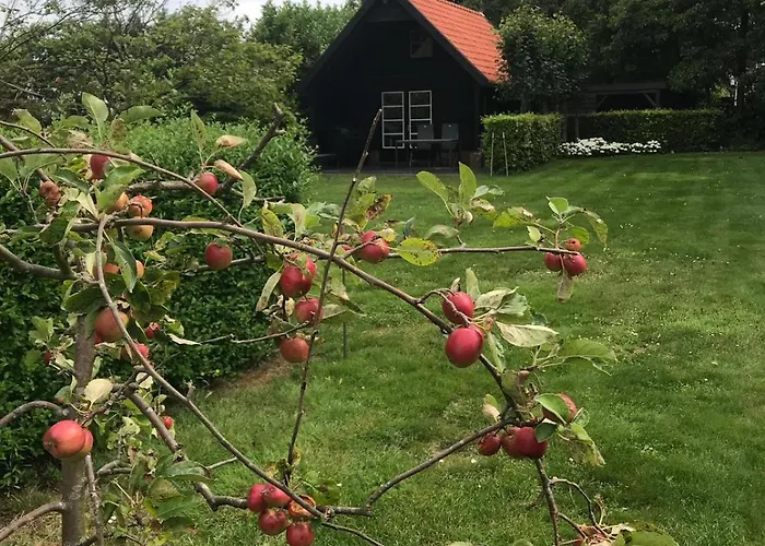 Vakantiehuis Polderhuus Galatheapolder